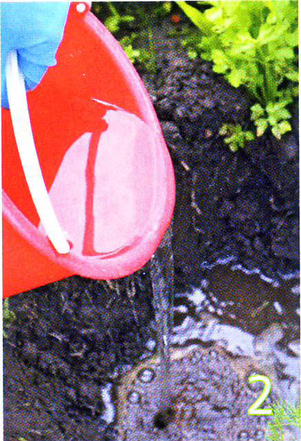 IMAGE0017 (3)